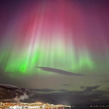 Rom Sentralt I Tromso Daire Dış mekan fotoğraf